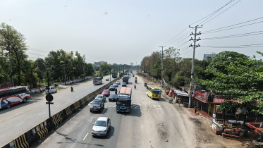 dhaka-aricha