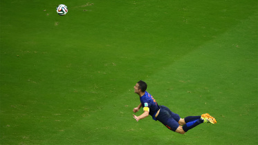 robin