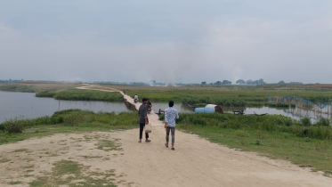 Oil Kushtia