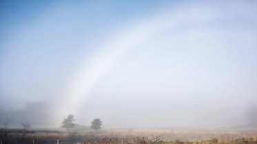 White rainbows.