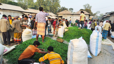 jamalpur