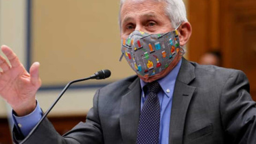 Anthony-Fauci_Collected.jpg