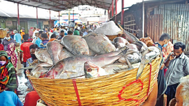 aquaculture-4.0.jpg