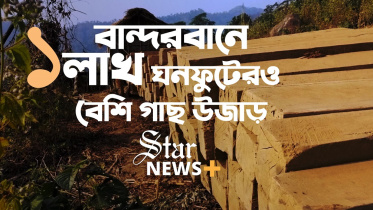 Bandarban_woodcutting_thumnail_2.jpg
