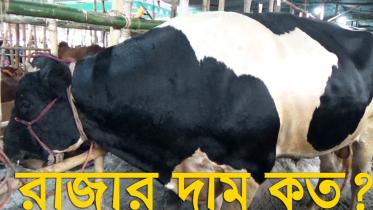 Bazarer Raja