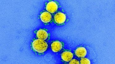 Coronavirus.jpg
