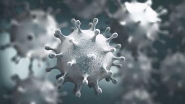 coronavirus.jpg
