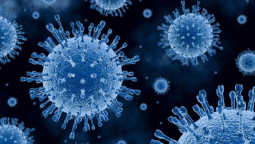 Coronavirus_Collected.jpg