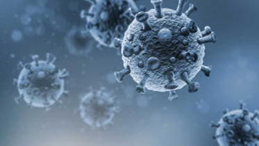 Coronavirus_Collected.jpg