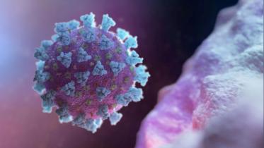 coronavirus_covid19_0.jpg
