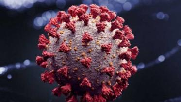 Coronavirus_Symbolic_Collected.jpg