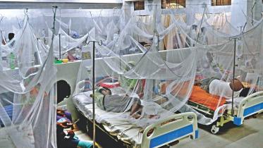 dengue_virus.jpg