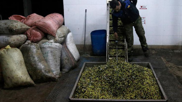 Greece_Agriculture.jpg