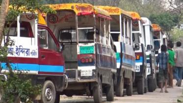 human hauliers
