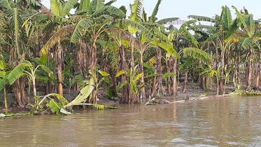 lalmonirhat.jpg
