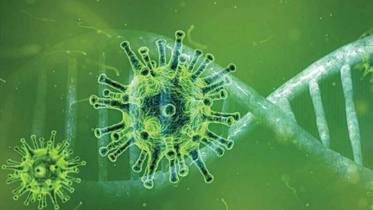New-Covid-Strain_Collected.jpg