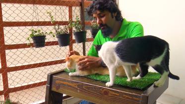 PAW foundation