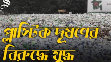 Plastic-Pollution.jpg