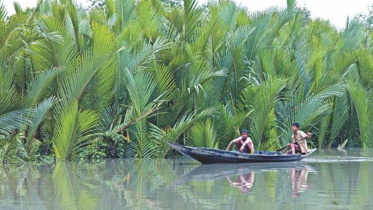 protecting sundarbans 
