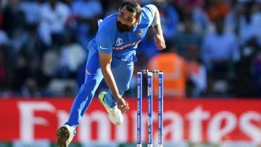 shami.jpg