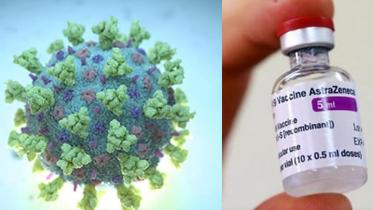 vaccine_12.jpg