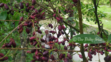patuakhali_pic_1361_03.07.jpg