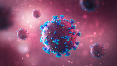 coronavirus_symbol_collected_16_7_21.jpg