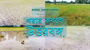 inside-bd-thumbnail-yt_1.jpg