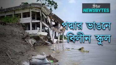 pdmaar_bhaangne_biliin_skul.jpg