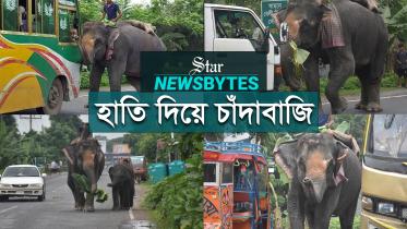 newsbytes_elephant_youtube.jpg