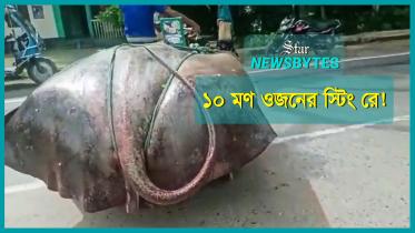 thumbnail-newsbytes-yt.jpg