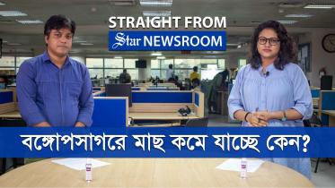 straight_from_newsroom1.jpg