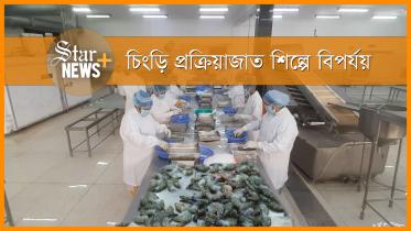star_news_thumbnail_shrimp_sept_11_for_yt.jpg