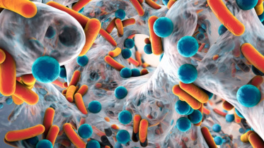 antimicrobial_resistance.jpg