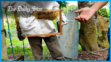 honey_moulvibazar.jpg