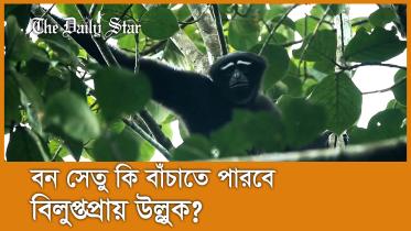 star_news_thumbnail.jpg