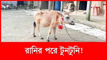 inside_bd_thumbnail_tuntuni_.jpg