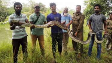 python_22oct21.jpg