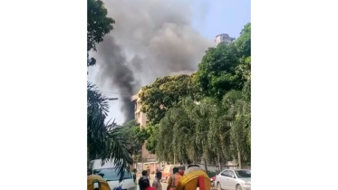 fire.jpg