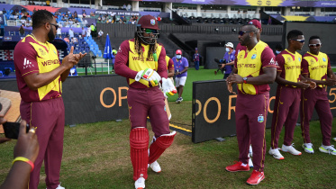 gayle.jpg
