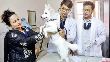 veterinary_hospital_2.jpg