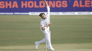 shaheen afridi