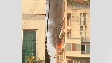 fire.jpg