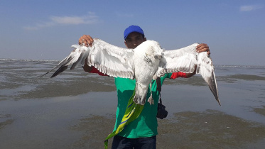 patuakhali_pic_1.jpg