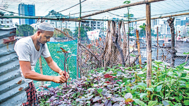 horticulture.jpg