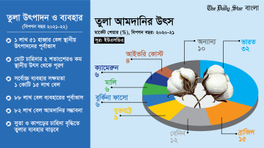 cotton-01.jpg
