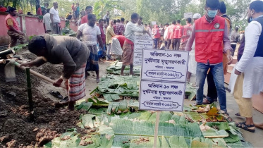 barguna_photo.jpg