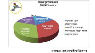 pie_chart_.jpg