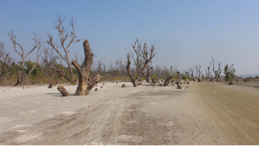 patuakhali_pic-_14_10.01.22.jpg