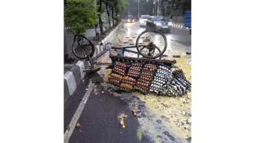 accident.jpg